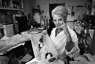sav _1&nbsp;&nbsp;H x W: 