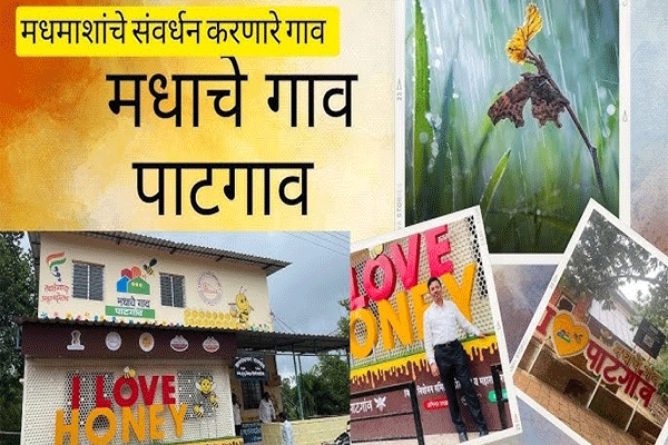 Honey Village Patgaon