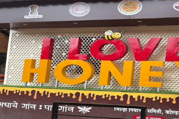 Honey Village Patgaon