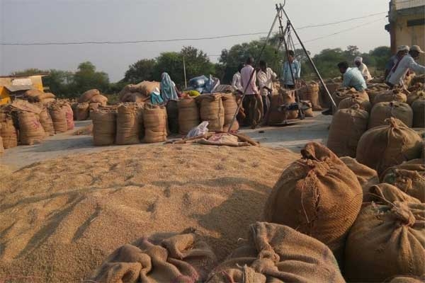 Paddy procurement centers