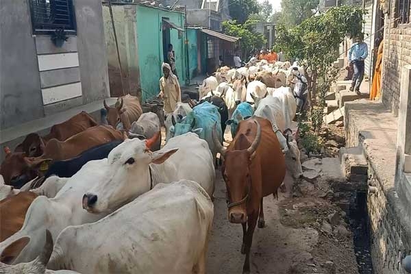 Umbarda Bazar