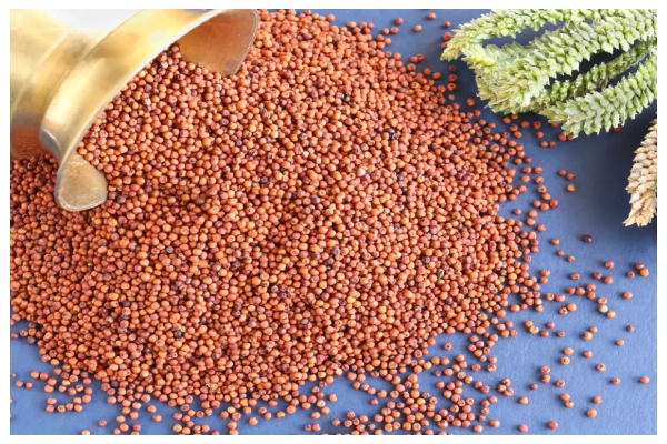 ragi