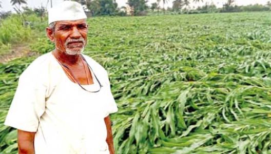 ‘अवकाळी’ पाठ सोडेना...