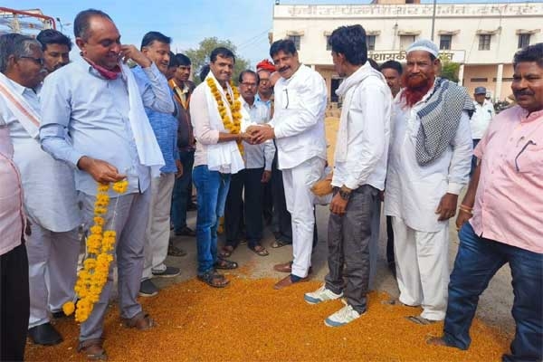 दर्यापुरात तुरीला विक्रमी 12,100 भाव Daryapur Tour Tarun Bharat Nagpur