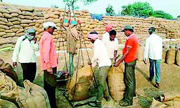 Paddy Procurement