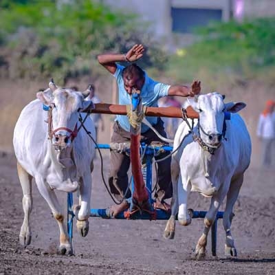 Shankarpat