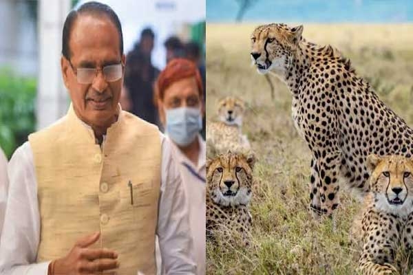 Shivraj Singh Chauhan