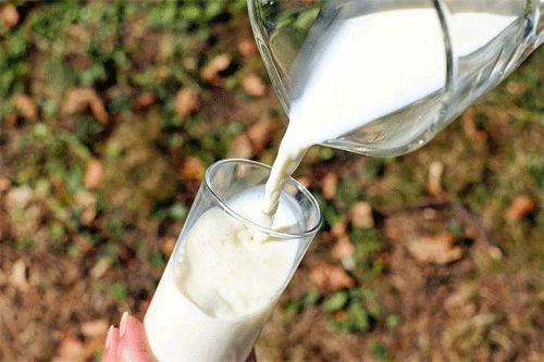 Adulterated milk