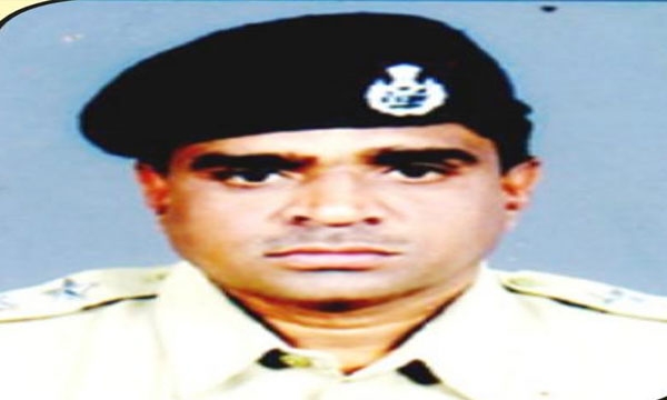Forest area officer Forest area officer