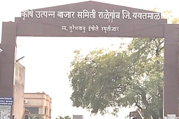 Ralegaon election