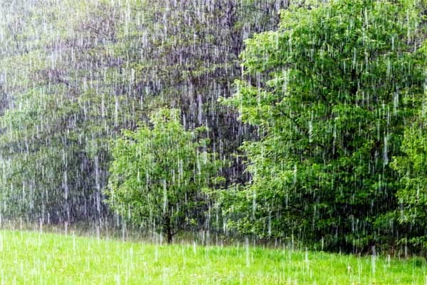 Rainfall