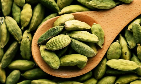 Cardamom Cardamom