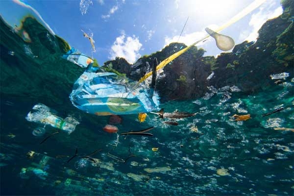 Plastic Pollution