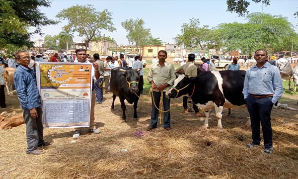 Animal Husbandry Department