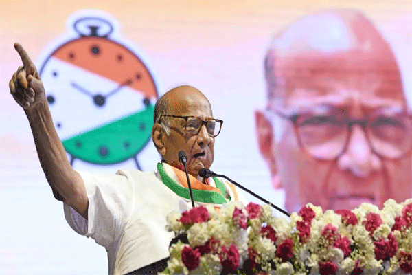 शरद पवारांच्या बैठकीला केवळ 13 आमदार Sharad Pawar - Tarun Bharat Nagpur