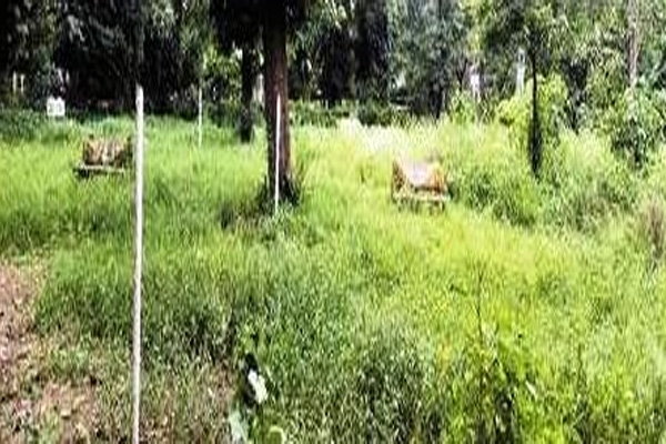 Subhash Bagh