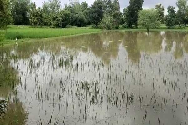 Wainganga river floods