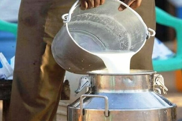 Milk