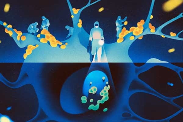 Alzheimer cell