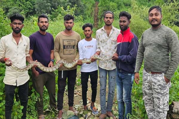 Ralegaon python