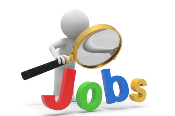 job 2024