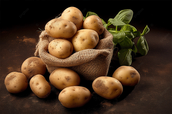 FAKE POTATO
