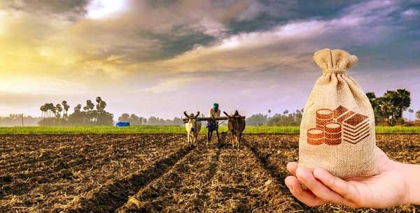farmer