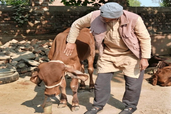 Muslims converting to Hinduism