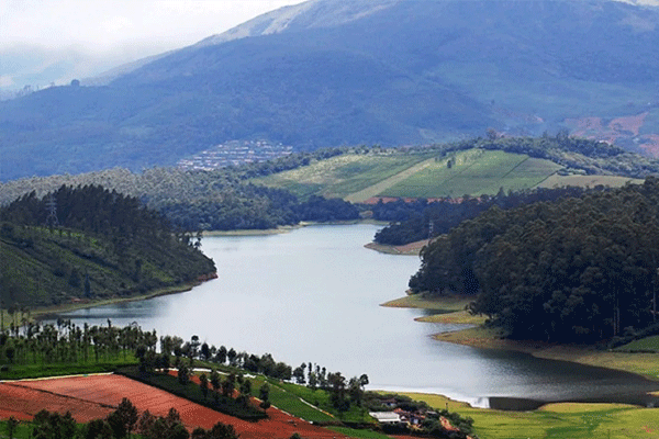 Ooty