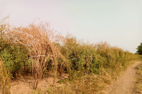 Savner Taluka