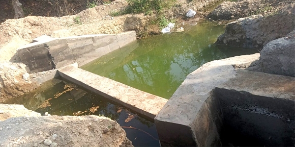 pani adwa pani jerva