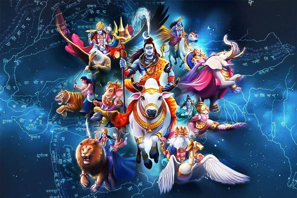 33 koti 