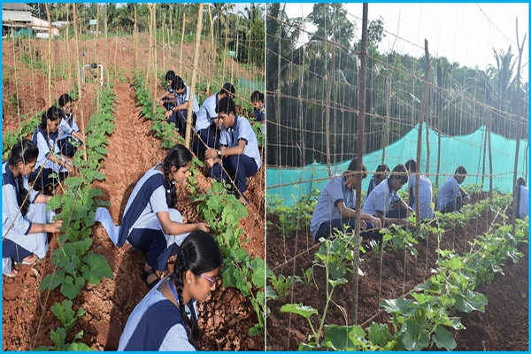 Agriculture-School Students