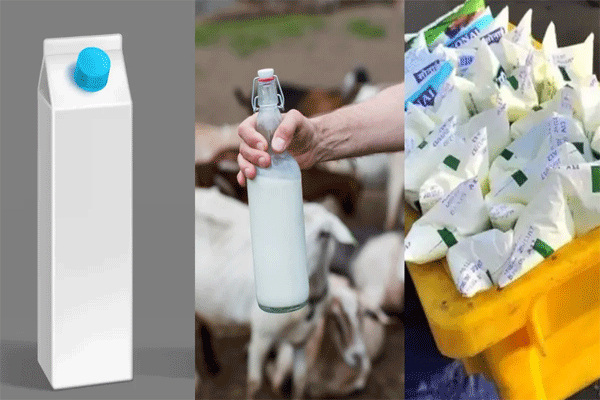 milk