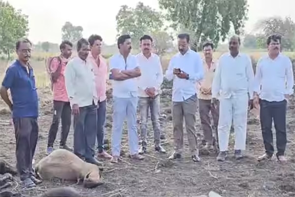 Jalgaon-heatwave-death