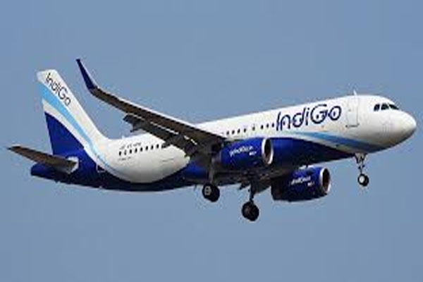 indigo airlines