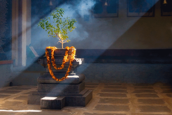 Tulsi vastu