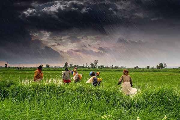 Monsoon-Agriculture-rain Monsoon-Agriculture-rain