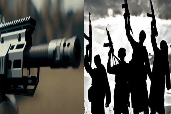 GUNS