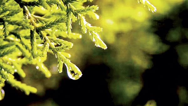 ashadh-month