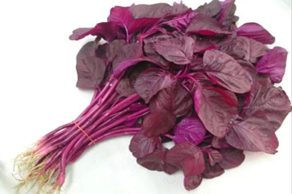 red spinach