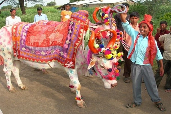pola festival-Maharashtra