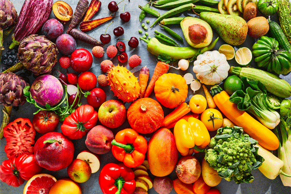 integrated horticulture development scheme