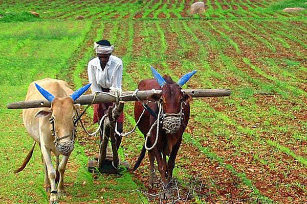 police aid farmers, Wardha police help farmers, police officers salary donation, farmer assistance program, flood relief farmers, police support agriculture, Chief Minister Relief Fund, farmer crisis Maharashtra, crop damage monsoon, soybean crop loss, cotton crop damage, Wardha farmer help, police humanitarian effort, police donation farmer relief, natural disaster farmer aid, monsoon flood farmer impact, farmer debt relief, police community service, farmer welfare initiatives police aid farmers, Wardha police help farmers, police officers salary donation, farmer assistance program, flood relief farmers, police support agriculture, Chief Minister Relief Fund, farmer crisis Maharashtra, crop damage monsoon, soybean crop loss, cotton crop damage, Wardha farmer help, police humanitarian effort, police donation farmer relief, natural disaster farmer aid, monsoon flood farmer impact, farmer debt relief, police community service, farmer welfare initiatives