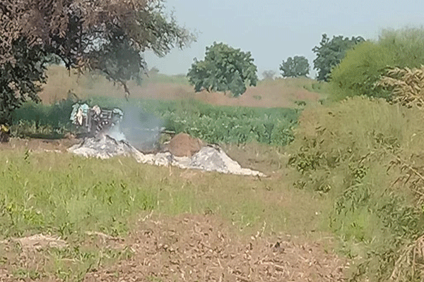 soybean crop fire