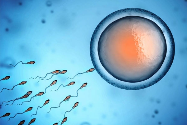 effect of Covid on men effect of Covid on men