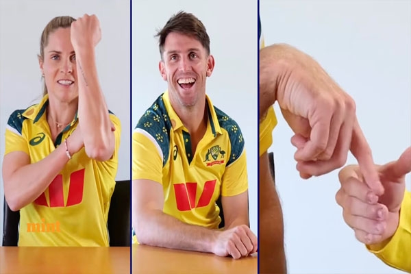Australia insulted the Indian team