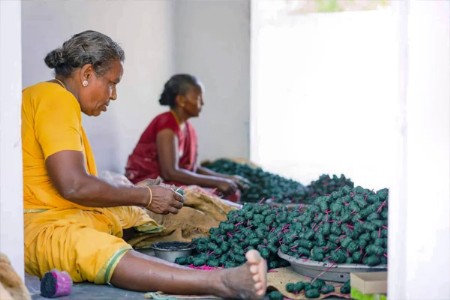 पर्यावरणपूरक फटाके: खासियत आणि खरे-खोट्यांची ओळख!