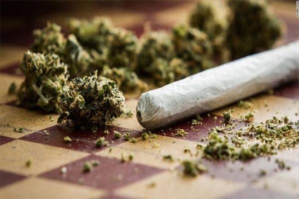 smuggled-ganja
