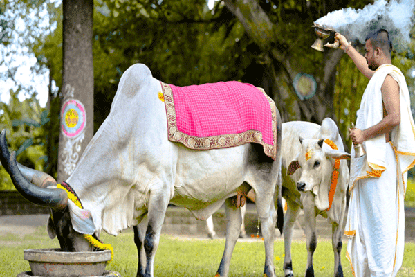 लखलखणारी दिवाळी